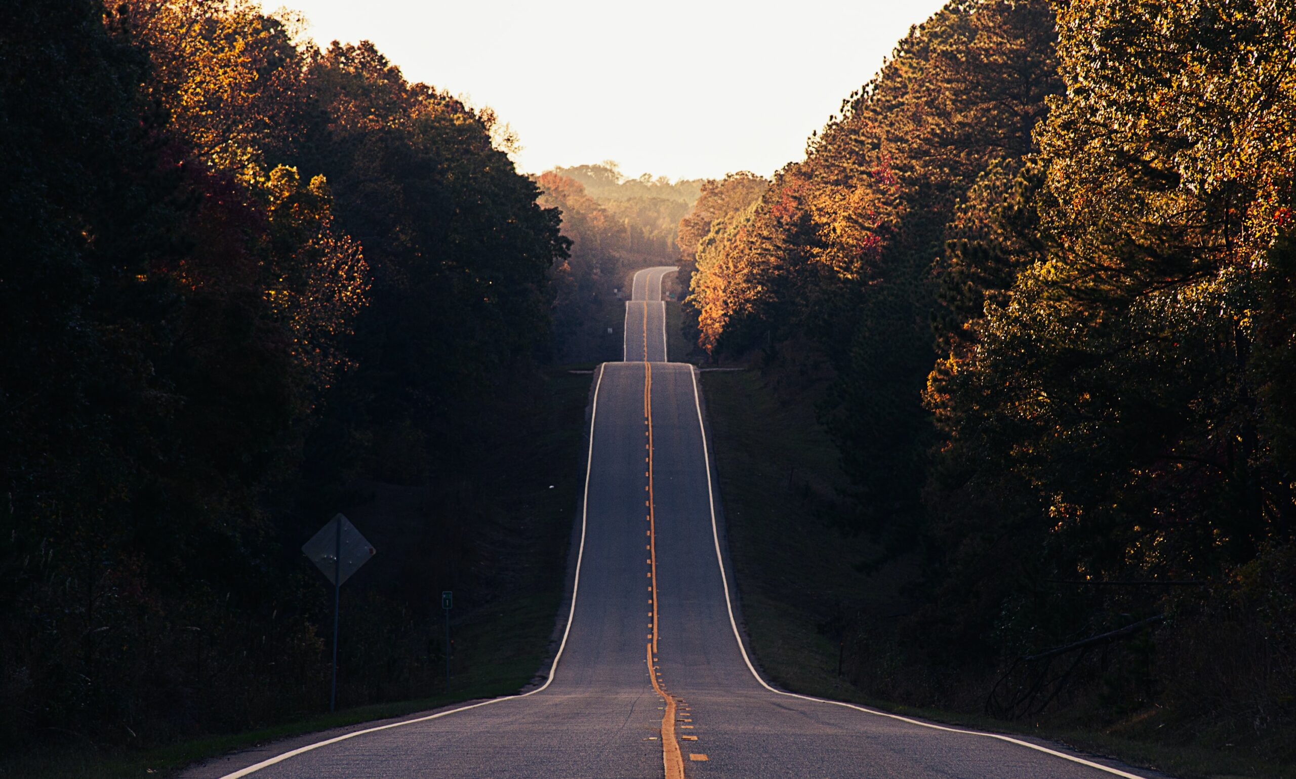 The Antitrust Paradigm: Restoring a Competitive Economy